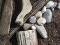 Stones and Drift Wood
Picture # 2561
